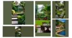 Transform Your Backyard with 15 Tropical Landscaping Ideas