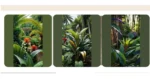 Tropical Oasis: Colorful Plants for Your Outdoor Sun-filled Haven