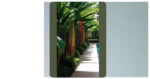 Dive into Paradise: 15 Tropical Landscaping Ideas for Your Home