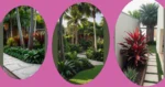 Dive into Paradise: 15 Tropical Landscaping Ideas for Your Dream Home