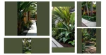 Dive into Tropics: 15 Landscaping Ideas to Refresh Your Outdoor Space