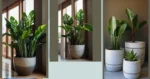 Living the Green Life: Discover 15 Indoor Plants to Brighten Up Your Home
