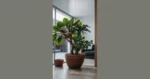 Get Your Green On: 15 Indoor Plants That Will Revive Your Home Decor
