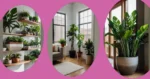 15 Unique Indoor Plants to Brighten Up Your Living Rooms