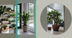 Spruce Up Your Home with These 15 Fun Indoor Plant Ideas