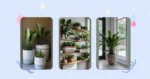 Elevate Your Living Room Decor with 15 Indoor Plant Ideas