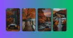 Let the Fall Vibes Flow: 15 Wallpapers for Every Device**

**