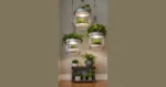 Serene Indoor Garden Ideas for Creative Spaces