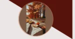 13 Cozy Autumn Wallpapers That Make Your Devices Feel Like Home**  
**