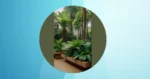 From Drab to Fab: 11 Stunning Ideas to Elevate Your Tropical Landscape