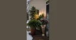 Cozy Up Your Front Porch: 18 Creative Winter Planters for a Heartwarming Look