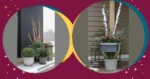 A Winter Wonderland: Easy Planter Ideas for Your Front Porch