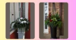 Get Festive: 18 Charming Winter Planters for Your Porch