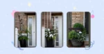 Winter Planting Made Simple: Creative Ideas for Your Porch