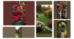 Discover 18 Rose Garden Layout Ideas That Will Make You the Talk of the Town