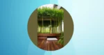Transform Your Outdoor Space: 21 Bamboo Garden Inspirations