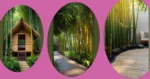 Transform Your Backyard: 21 Bamboo Garden Ideas for Every Swatch of Paradise