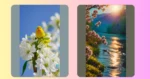 Brighten Your Screen: 19 Spring Aesthetic Wallpapers to Revamp Your PC**

**