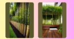 Revamping Spaces: 21 Bamboo Garden Ideas You Need to Try