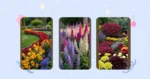 Cultivating Charm: 18 Seasonal Flower Bed Ideas for Your Garden