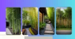 Transform Your Outdoor Oasis: 21 Bamboo Garden Ideas