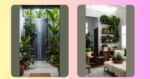 Boho Living: 16 Indoor Plants to Elevate Your Space