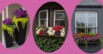 Brighten Your Space with 21 Stunning Window Box Flower Ideas