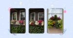 Window Box Bliss: 21 Flower Ideas You’ll Love