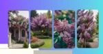Lilac Love: 18 Ideas to Transform Your Garden Landscape