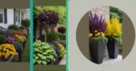 From Filing Cabinets to Urns: Unique Planter Ideas for Shade Lovers
