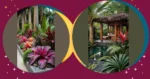 Discover Your Tropic Paradise: 18 Plants to Brighten Your Landscape