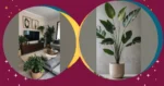 Revitalize Your Space with 20 Indoor Plant Decor Ideas for Living Rooms