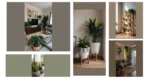 Transforming Your Living Rooms with Plant Decor Ideas