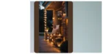 15 December Outdoor Lights Ideas That’ll Jingle Your Bells