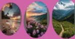 Embracing Nature’s Beauty: 19 HD Wallpaper Aesthetic Ideas for Your Devices**  
**