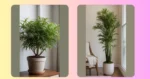 Fern-tastic Fun: 16 Indoor Plant Ideas for All Spaces