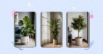 The Ultimate Selection: 16 Indoor Plant Ideas for Stunning Displays