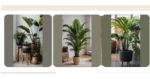 Transform Your Living Space with These Houseplant Ideas
