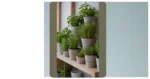 Spice Up Your Holidays with Indoor Herb Gardening