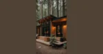 Cabin Fever: 15 Modern Interior Ideas to Brighten Your Forest Retreat