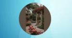 20 Rose Garden Ideas to Boost Your Curb Appeal**  
**